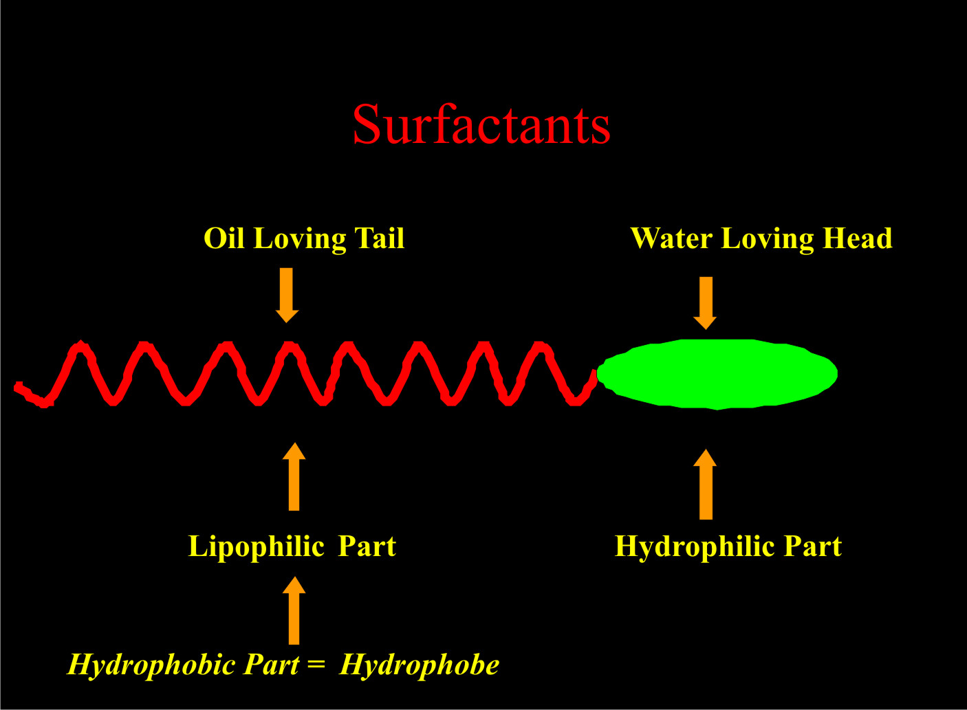Components of a surfactant molecule